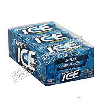 Dentyne Ice * Winter Chill * 9 pks / Box