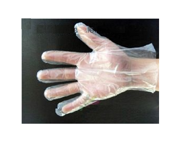 Disposable Glove * 500 ct x 12 Box / Case