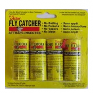 Fly Paper Catcher * 4 in Pack * 12 pck