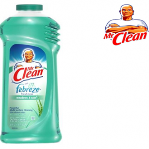 Mr Clean Cleaner 28 fl oz * Meadows & Rain * 9 pcs / Case