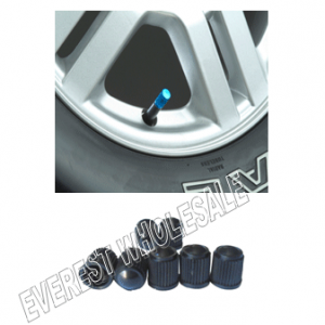 Plastic Tire Valve * 6 count x Pack * 12 Packs